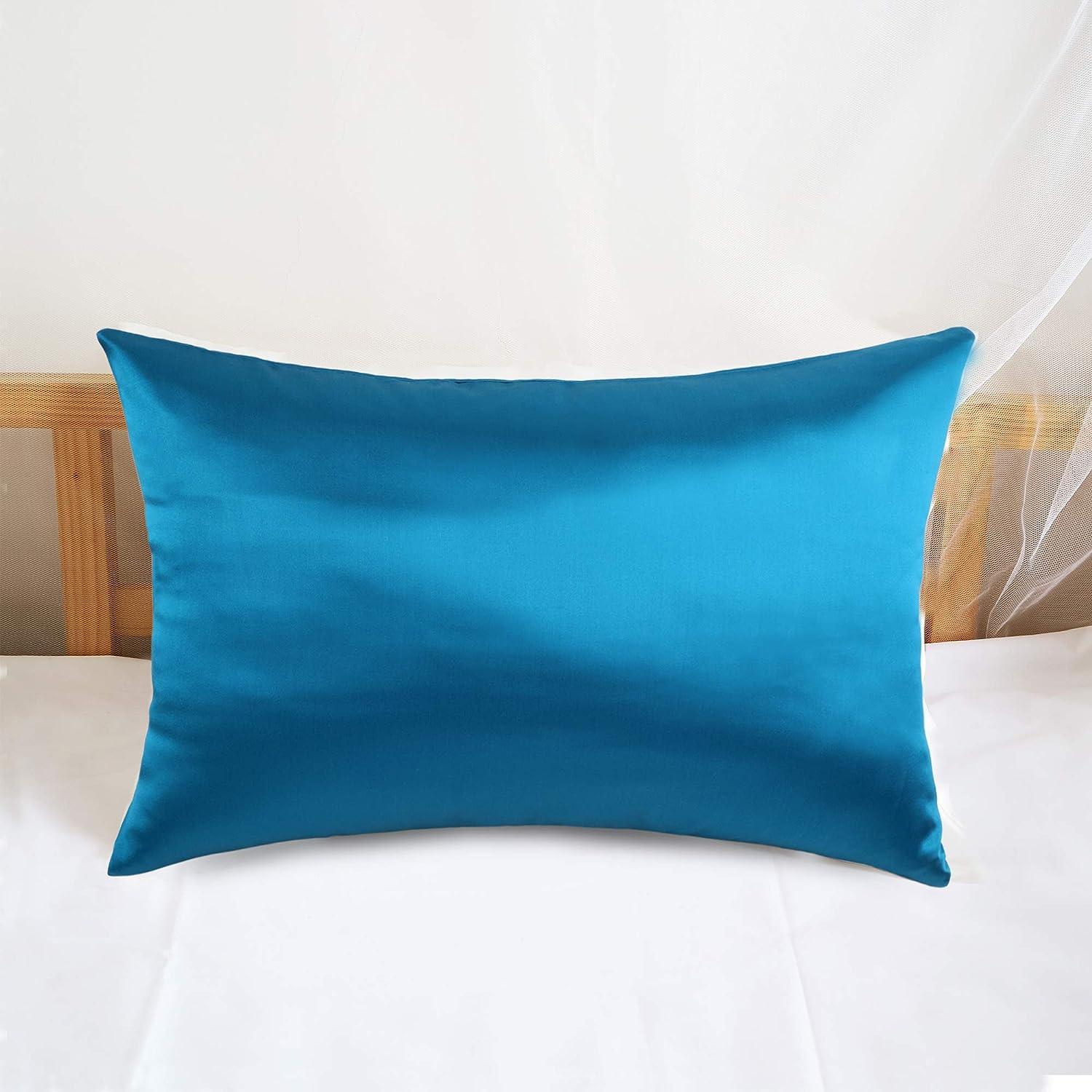 100 Pure 6A Both Side Mulberry Silk Pillow Cover (Pack of 1) Coolbeds